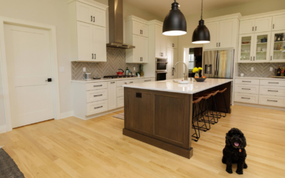 What Sets Sarona Homes Apart from Custom Home Builders in Southeastern Wisconsin?